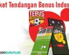 Paket Tendangan Bonus Indosat