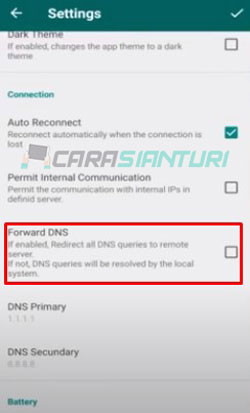 6. Pada menu pengaturan cari menu Connection lalu jangan centang Forward DNS
